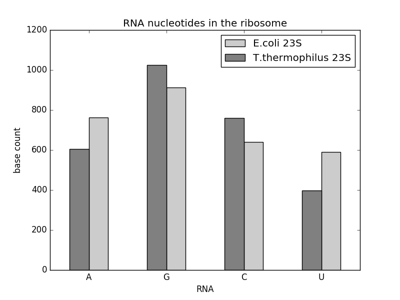 Bar Plot